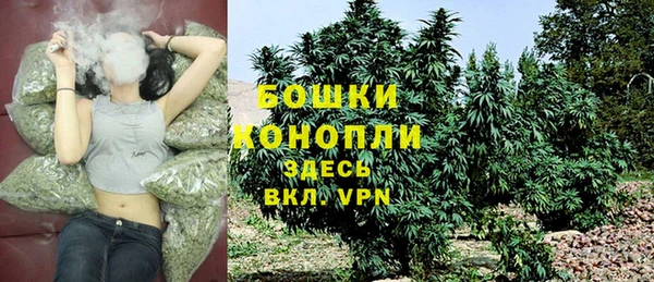 молекула духа Верхний Тагил