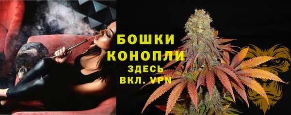 МДПВ Володарск