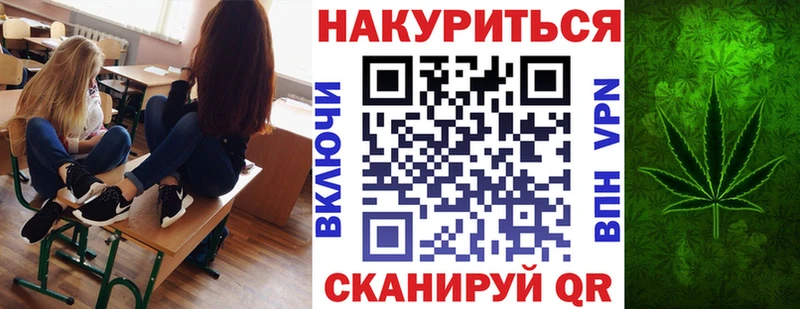 купить закладку  Гаджиево  Каннабис индика 